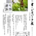 【10/13～10/23開催】藤井璃石さんによる「書×ジオパーク展その3 大地と植物」