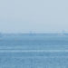 【5月18日実施】ジオパーク散歩in魚津～魚津三大奇観を育んだ海岸線を歩こう～