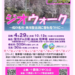 【ジオクラブイベント】ジオウォーク-桜の名所・美瑛聖台湖に春を見つけに-