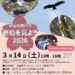 早春の城川で野鳥を見よう2026