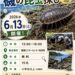 「磯の昆虫探し(ばっぷっせ)」