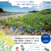 【GWイベント】桜浜ネイチャーヒーロー大作戦！～セイタカアワダチソウ防除に参加して桜浜の生態系を守ろう～
