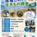 海の日「漂着ゴミと生きもの調査」