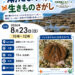 潮だまりで生き物さがし