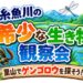 里山でゲンゴロウを探そう!