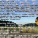 男鹿半島・大潟ジオパークガイドの会　”ジオフレーバー”キャンペーン トライアルイベント